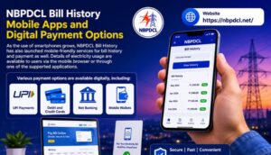 NBPDCL Bill History